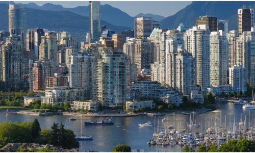 Commercial Botton pic_15